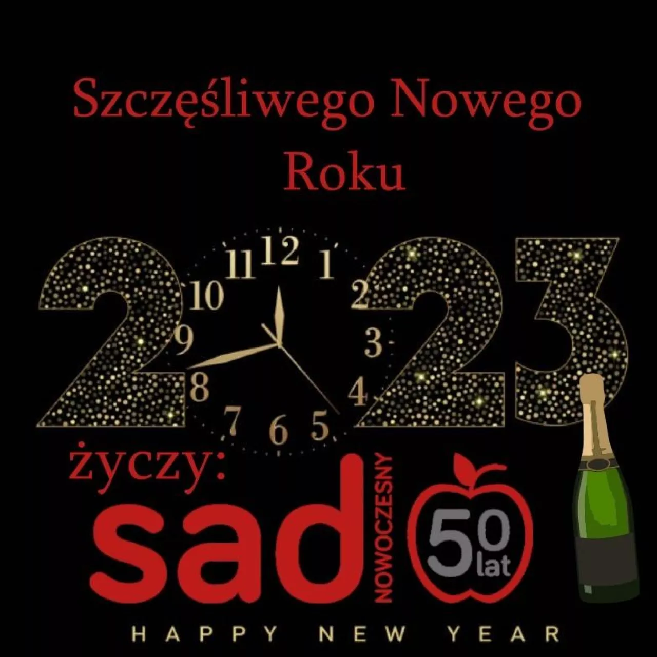 Nowy rok 2023 życzenia