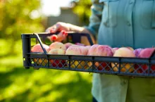 mechanizm wycofywania z rynku