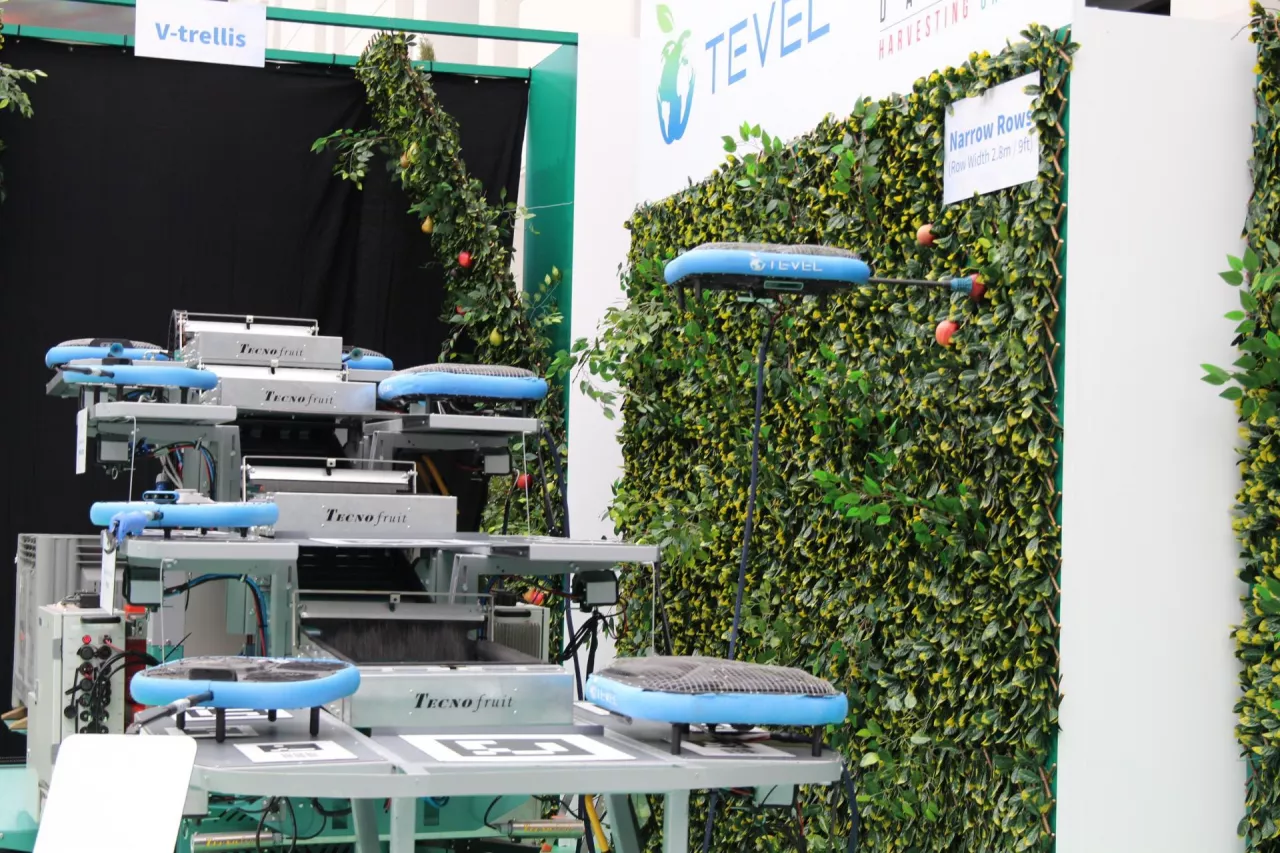 Pokaz zbioru jabłek za pomocą dronów zorganizowany przez izraelski start-up Tevel