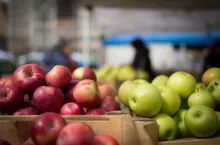 eksport produktów ekologicznych z Mołdawii