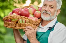 zmiany w wysokości świadczeń emerytalnych