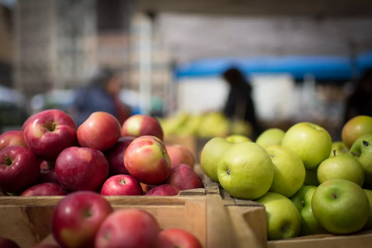 eksport produktów ekologicznych z Mołdawii