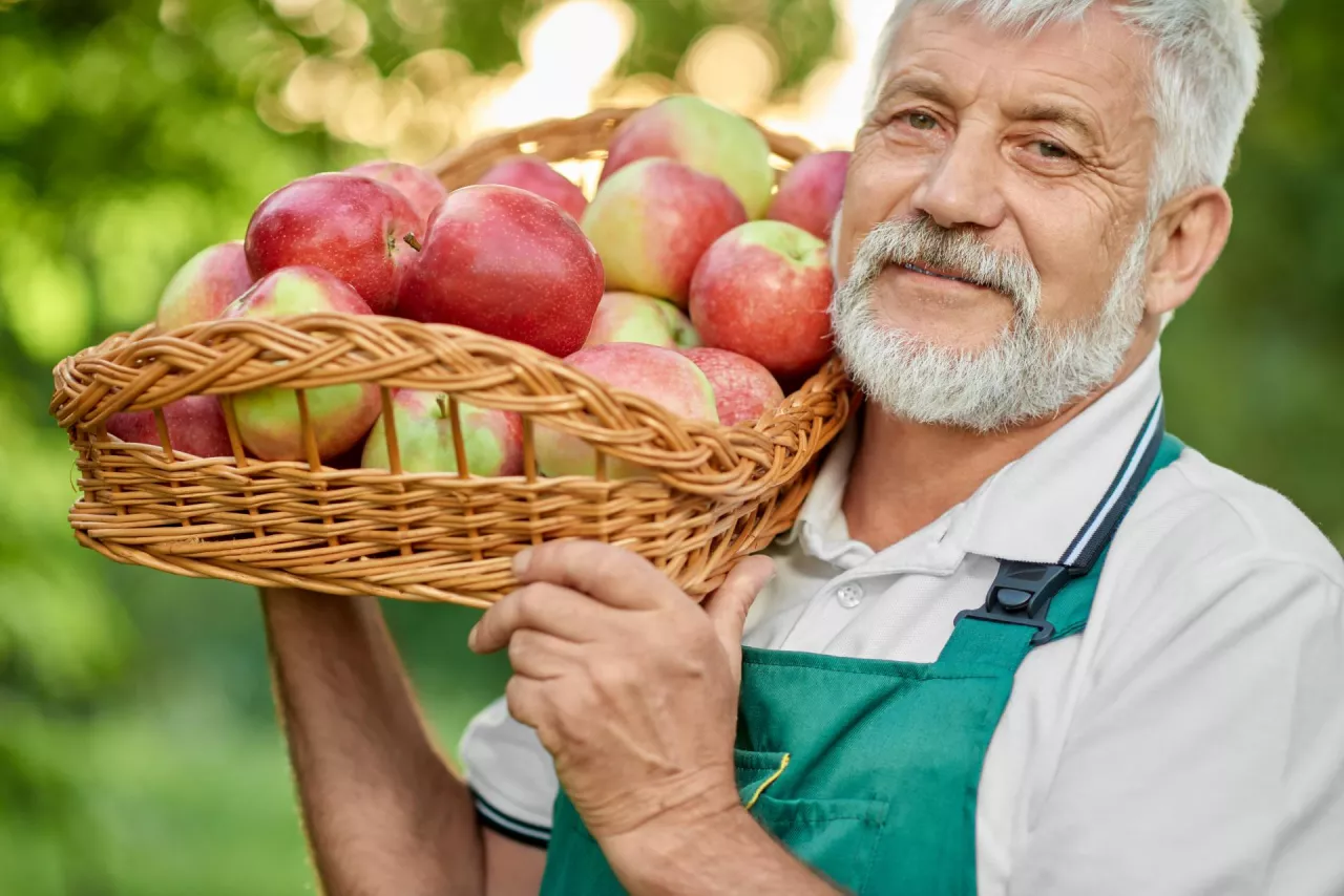 zmiany w wysokości świadczeń emerytalnych