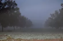 inwestycje w wyniku wystąpienia klęsk żywiołowych