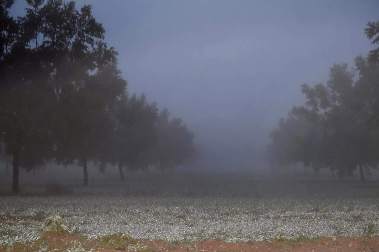 inwestycje w wyniku wystąpienia klęsk żywiołowych