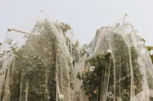 sadownictwo ekologiczne dopłaty do hektara 2023