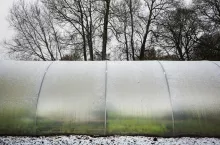 obfite opady śniegu, pomoc finansowa ARiMR