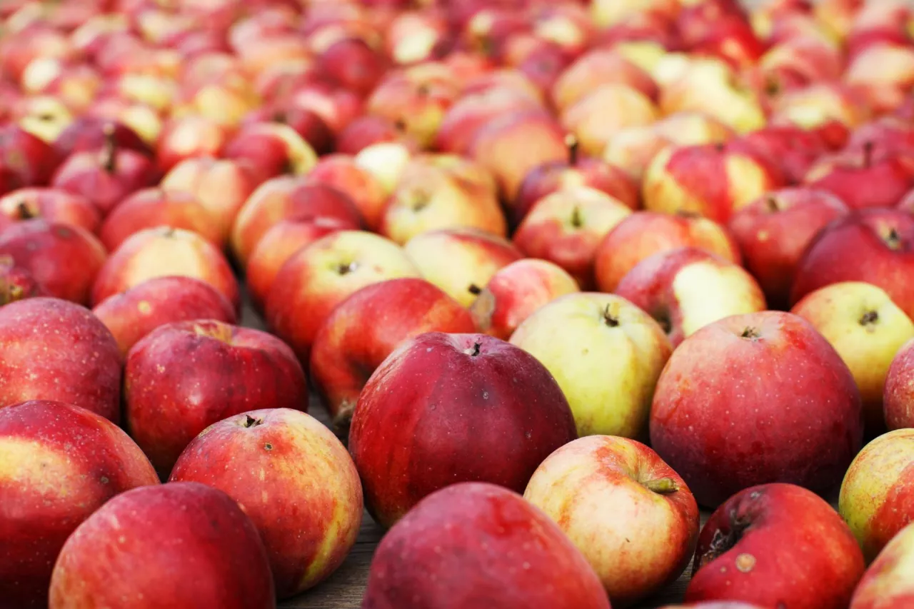 export jabłek z Mołdawii