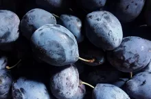 Śliwki z Mołdawii trafiają na rynek niemiecki, eksport, import śliwek