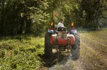 dofinansowanie na wapnowanie