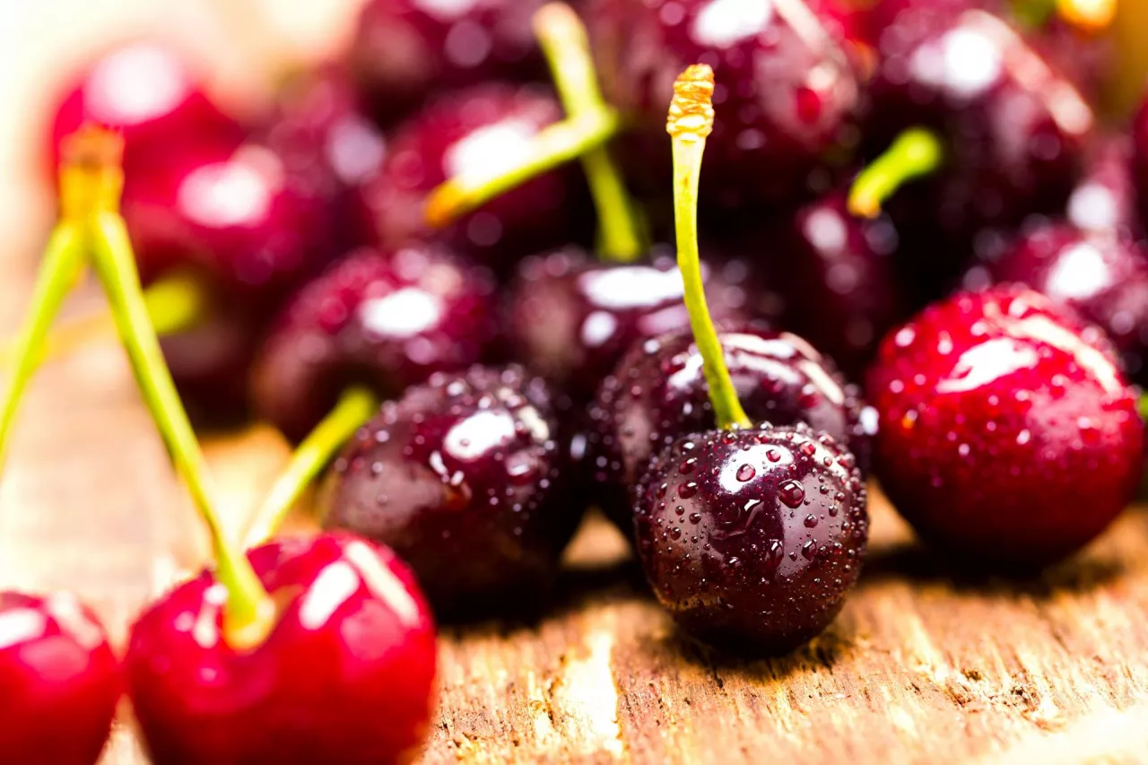 odmiany wiśni bez pestek