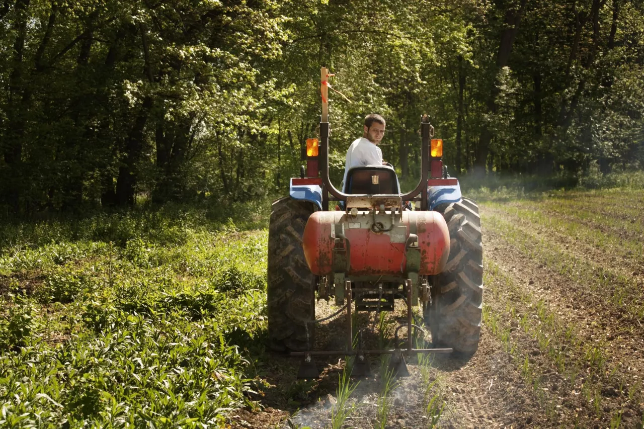 dofinansowanie na wapnowanie
