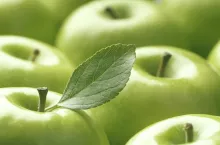 Nutri Score co to jest