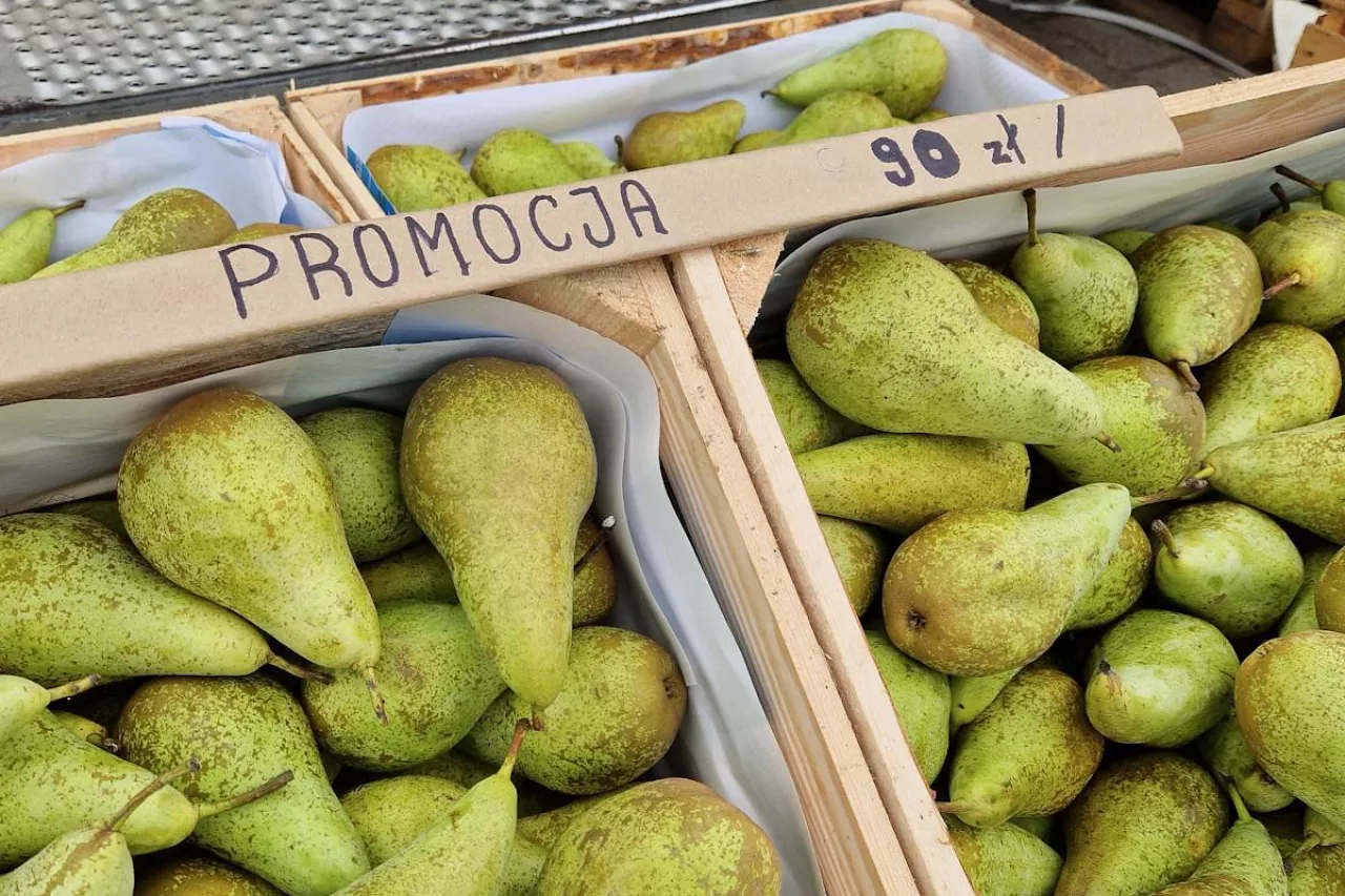 Konferencja Bronisze