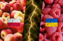 Ukraińskie media atakują polskich producentów owoców. ”Ktoś chce skłócić Polaków z Ukraińcami”