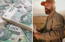 250 mln zł na dodatkowe dopłaty dla rolników. Dla kogo i jakie stawki do hektara?