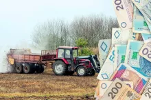 Dopłaty bezpośrednie 2024: jakie są warunki ubiegania się o ekoschematy?