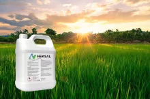 Nowy regulator od Innvigo poprawia wybarwianie się owoców