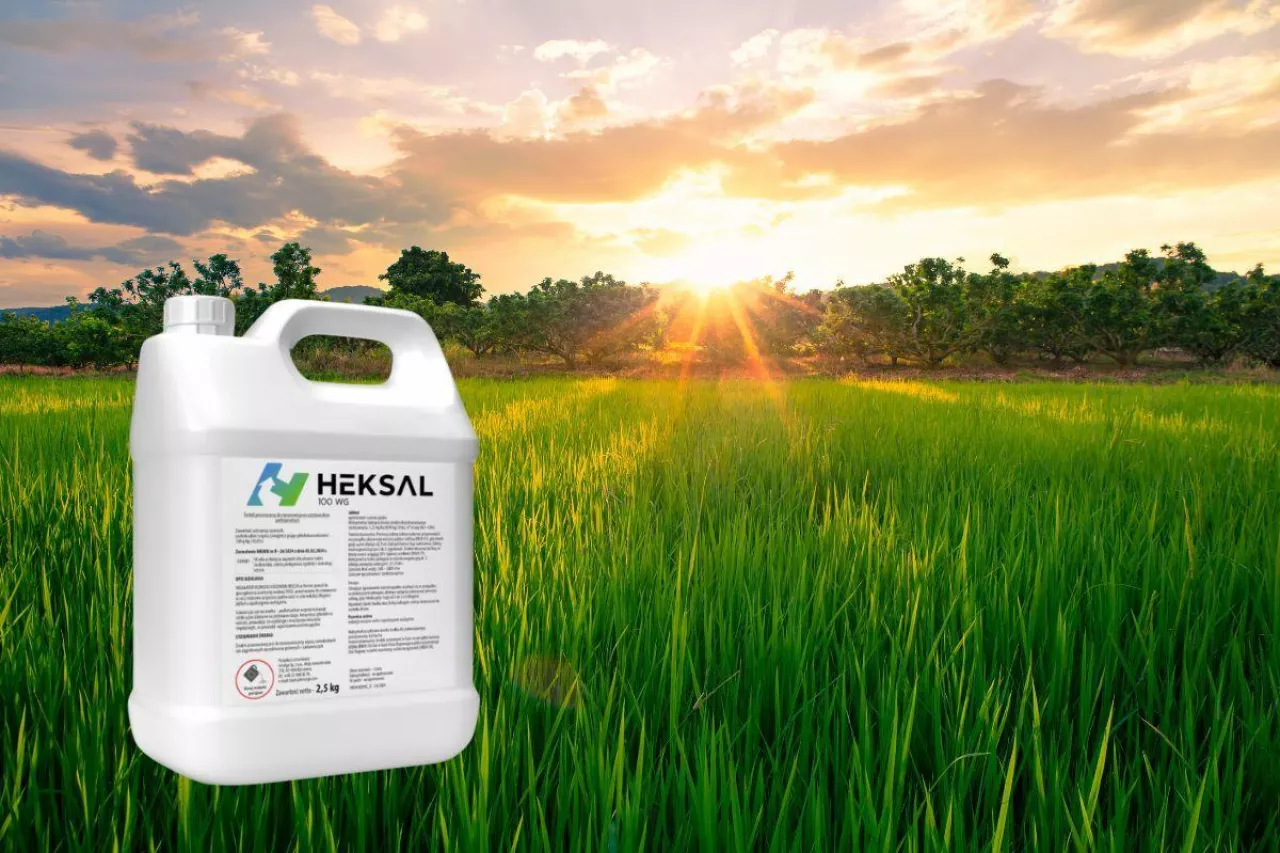 Nowy regulator od Innvigo poprawia wybarwianie się owoców