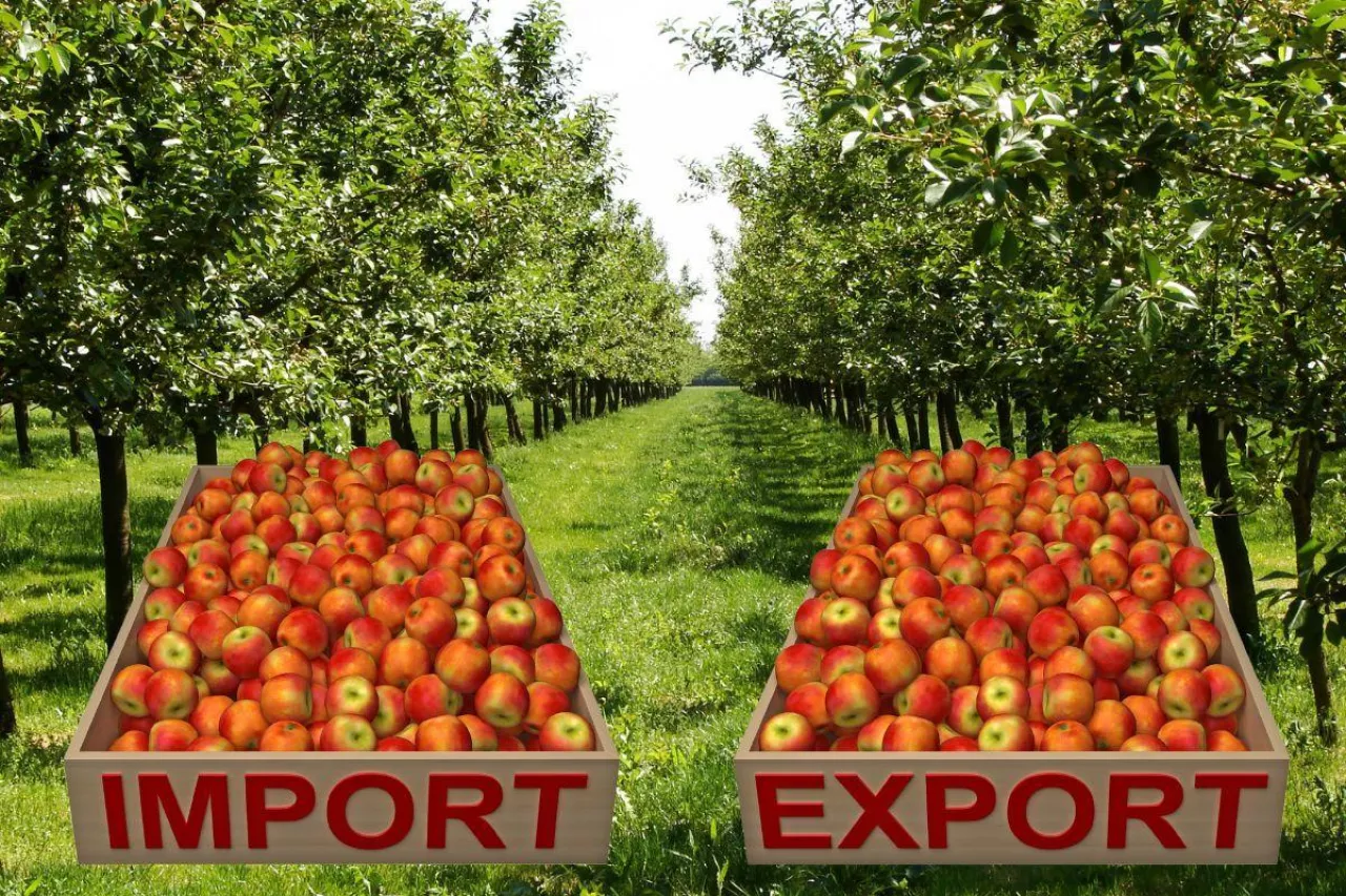 Ceny jabłek deserowych wyższe o 100%. Jakie prognozy na ten sezon?