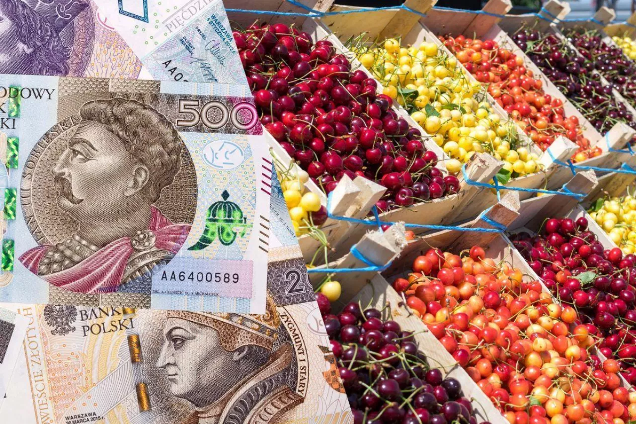 Czereśnie krajowe czy importowane? Które królują na rynkach hurtowych?