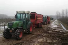 podkładki dla grusz