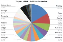 Dane: GUS. Opracowanie własne