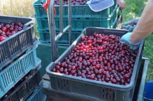 ubezpieczenie w krus