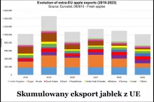 eksport ue