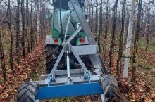 cięcie korzeni późną jesienią