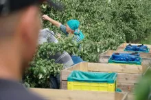 kontrole w gospodarstwach