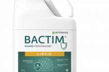 Objawy parch jabłoni widoczne na owocach i liściach jabłoni