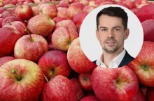 Kołodziejczak jabłka