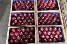 Jabłka przygotowane do sprzedaży we Fruit Family