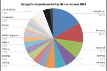 eksport czerwiec