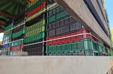 wisnie na punkcie skupu owoców