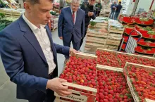 kontrola na rynku hurtowym w broniszach