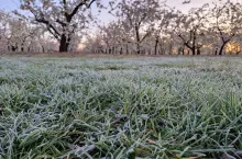 przymrozki 19 kwietnia 2024