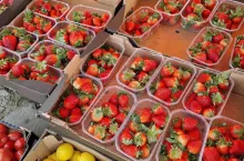 fałszowanie kraju pochodzenia truskawek