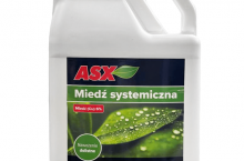 asx miedź systemiczna