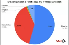 eksport gruszek