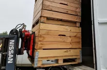 kupował jabłka i nie płacił