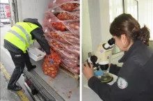 kontrole na granicy polsko-ukrainskiej