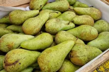 aktualne ceny gruszek