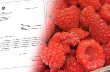 firmy importujące owoce z ukrainy