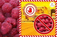 maliny wycofane z obrotu