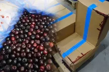 mrożone czereśnie z turcji