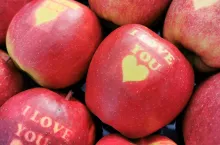 jabłka na walentynki