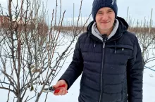 pokaz cięcia w obrazowie