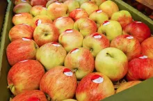 ceny jabłek w marketach